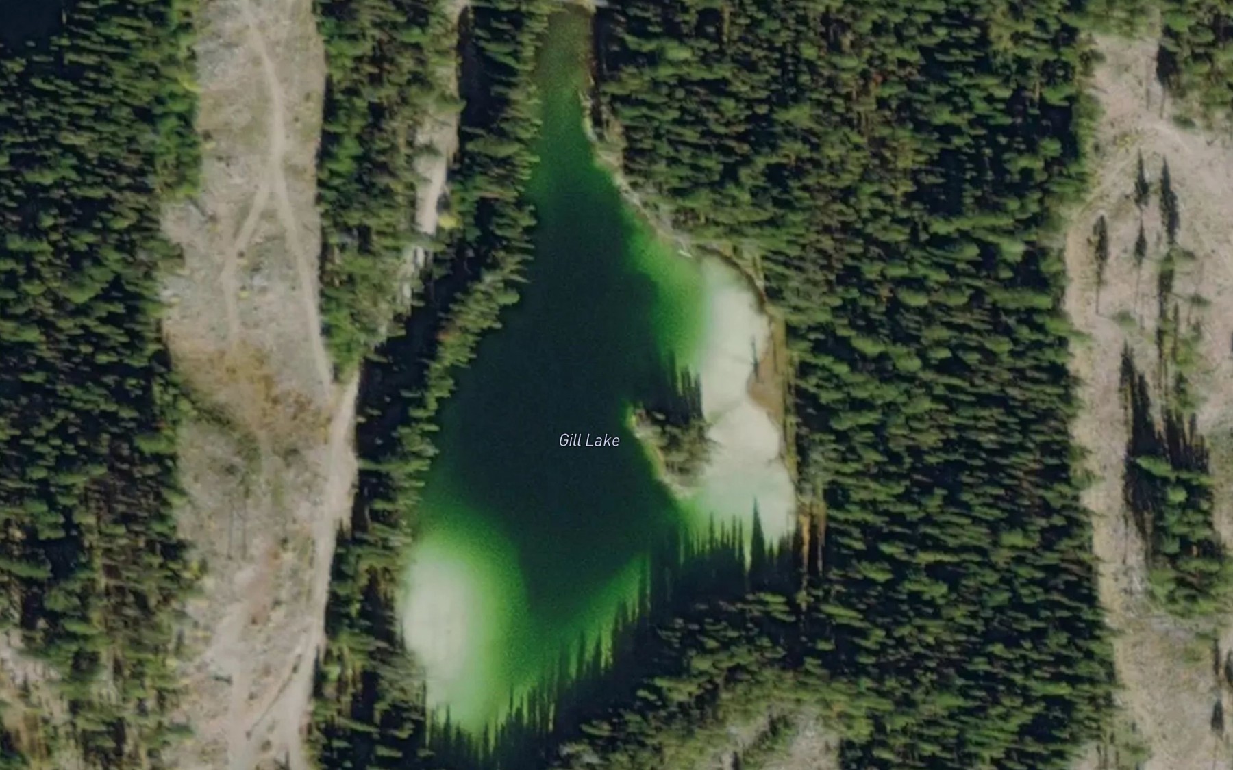 Satellite map of the Gill Lake
