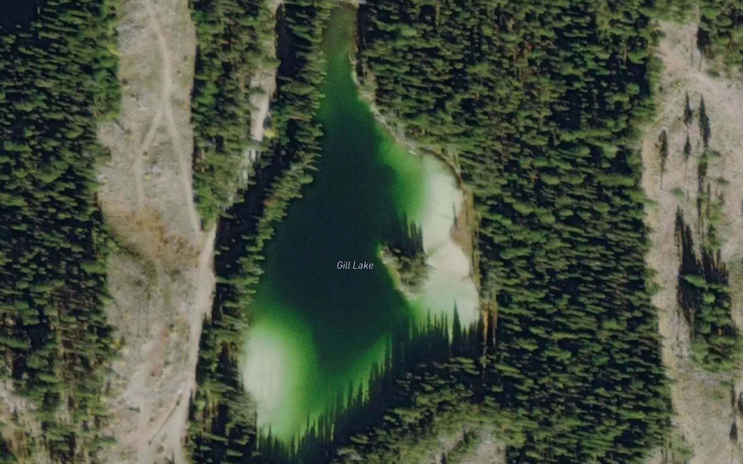 Gill Lake