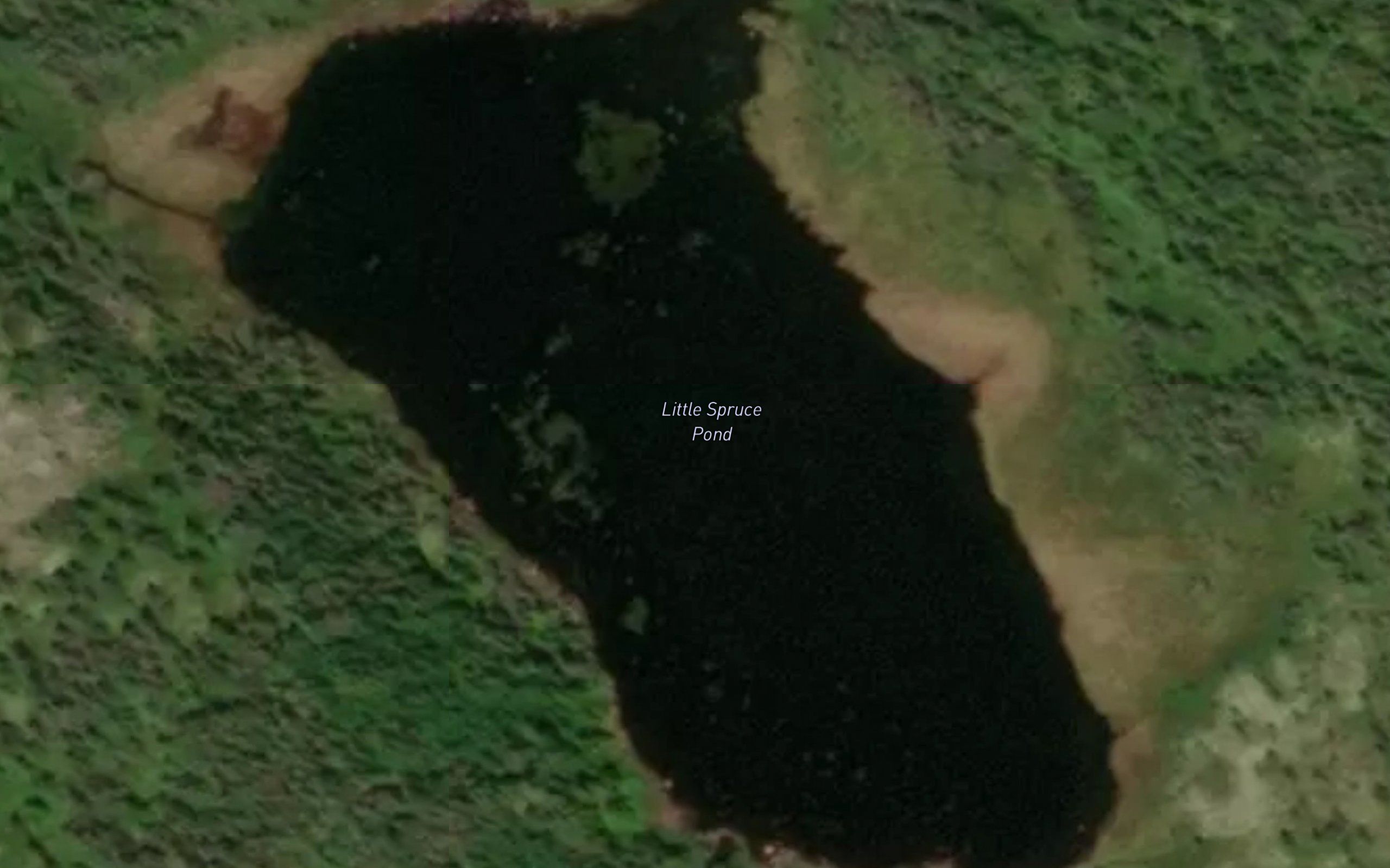 Little Spruce Pond