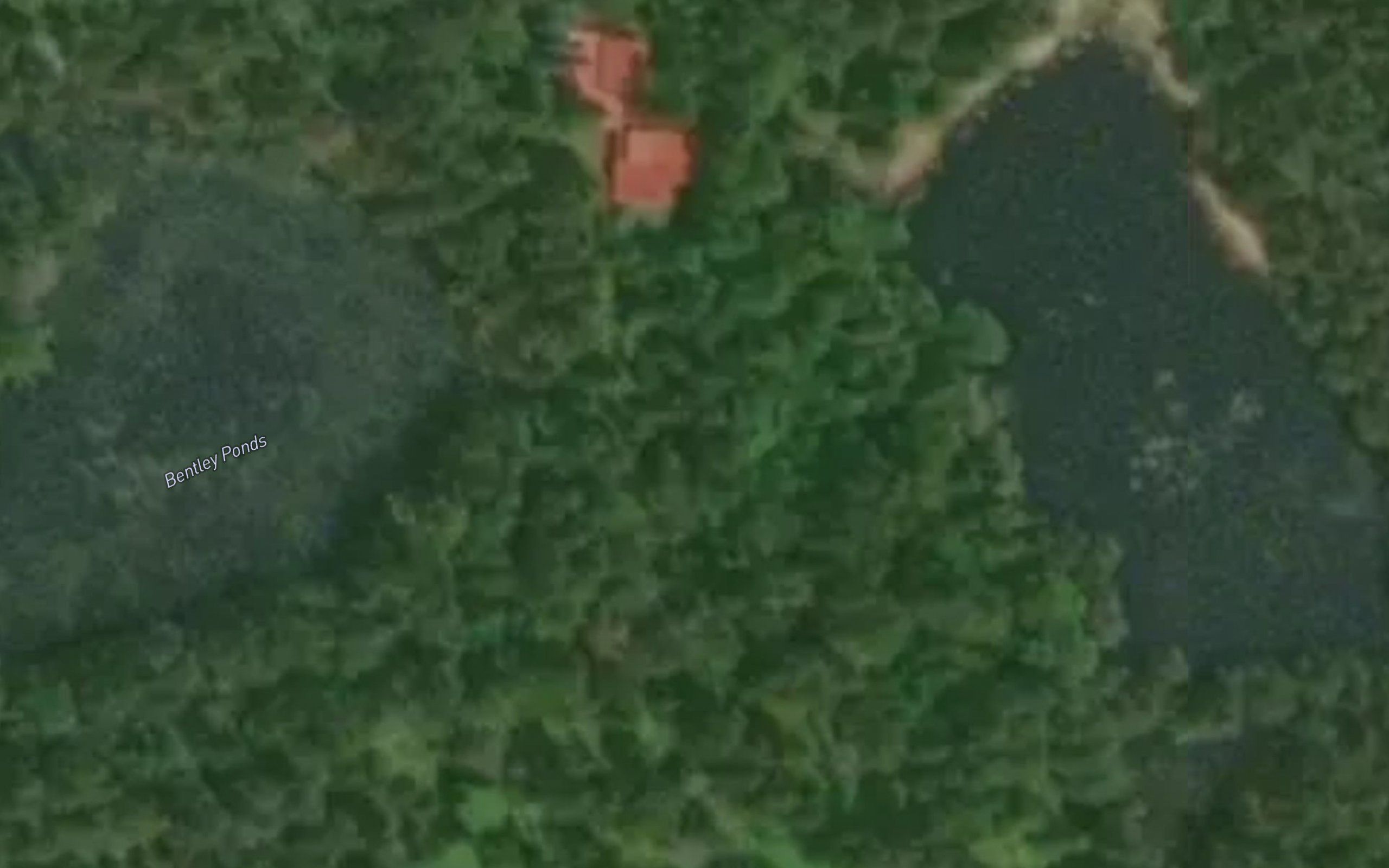 Bentley Ponds