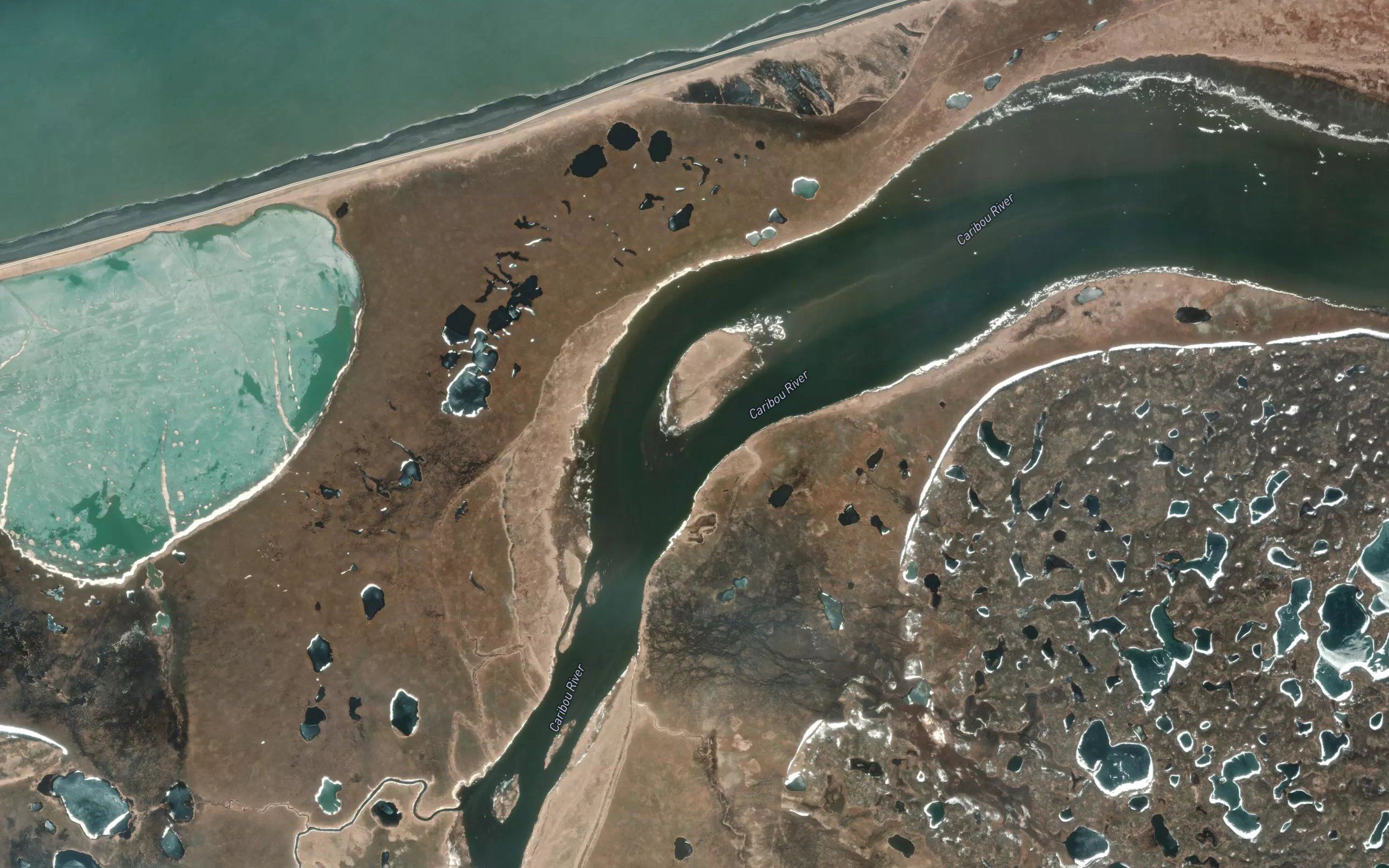 Caribou River