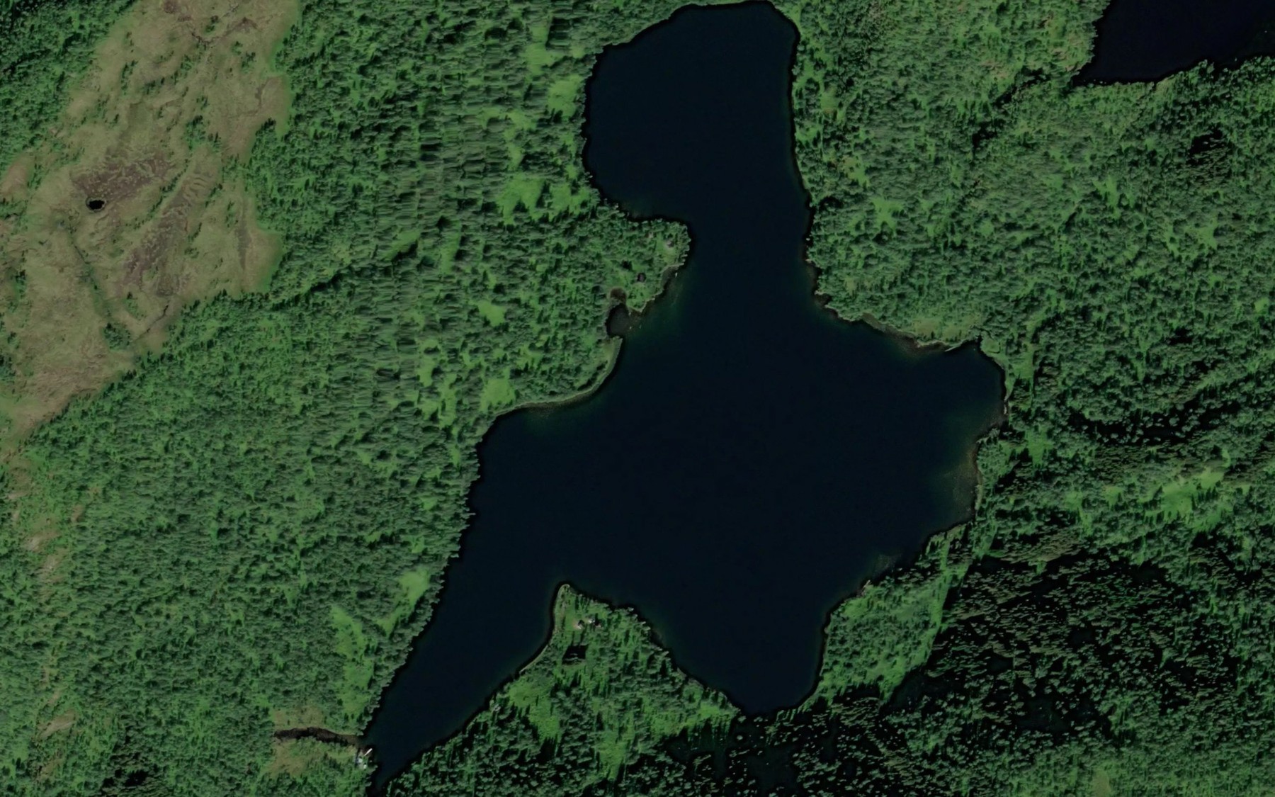 Satellite map of the Svartvatnet,nedre