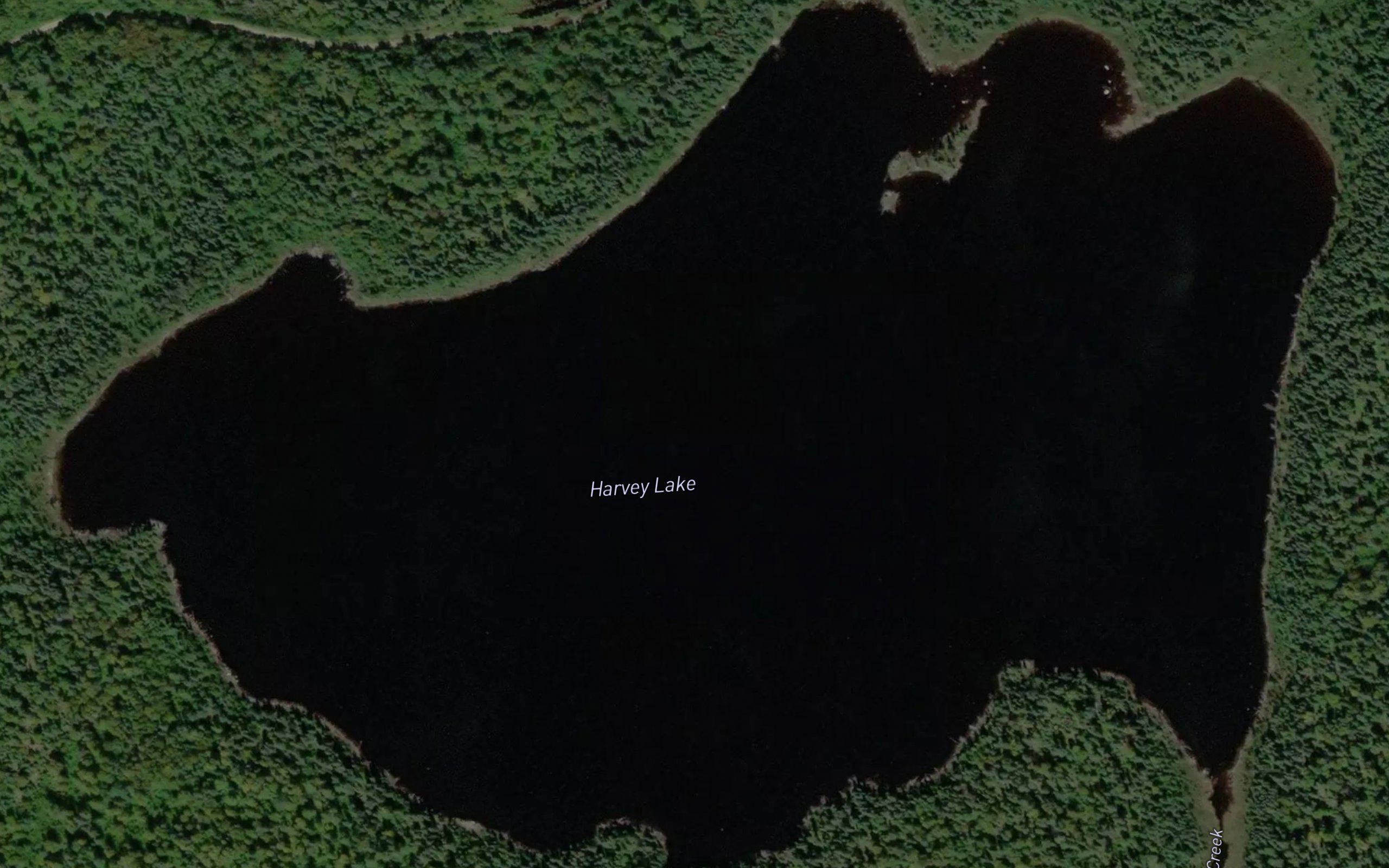 Harvey Lake