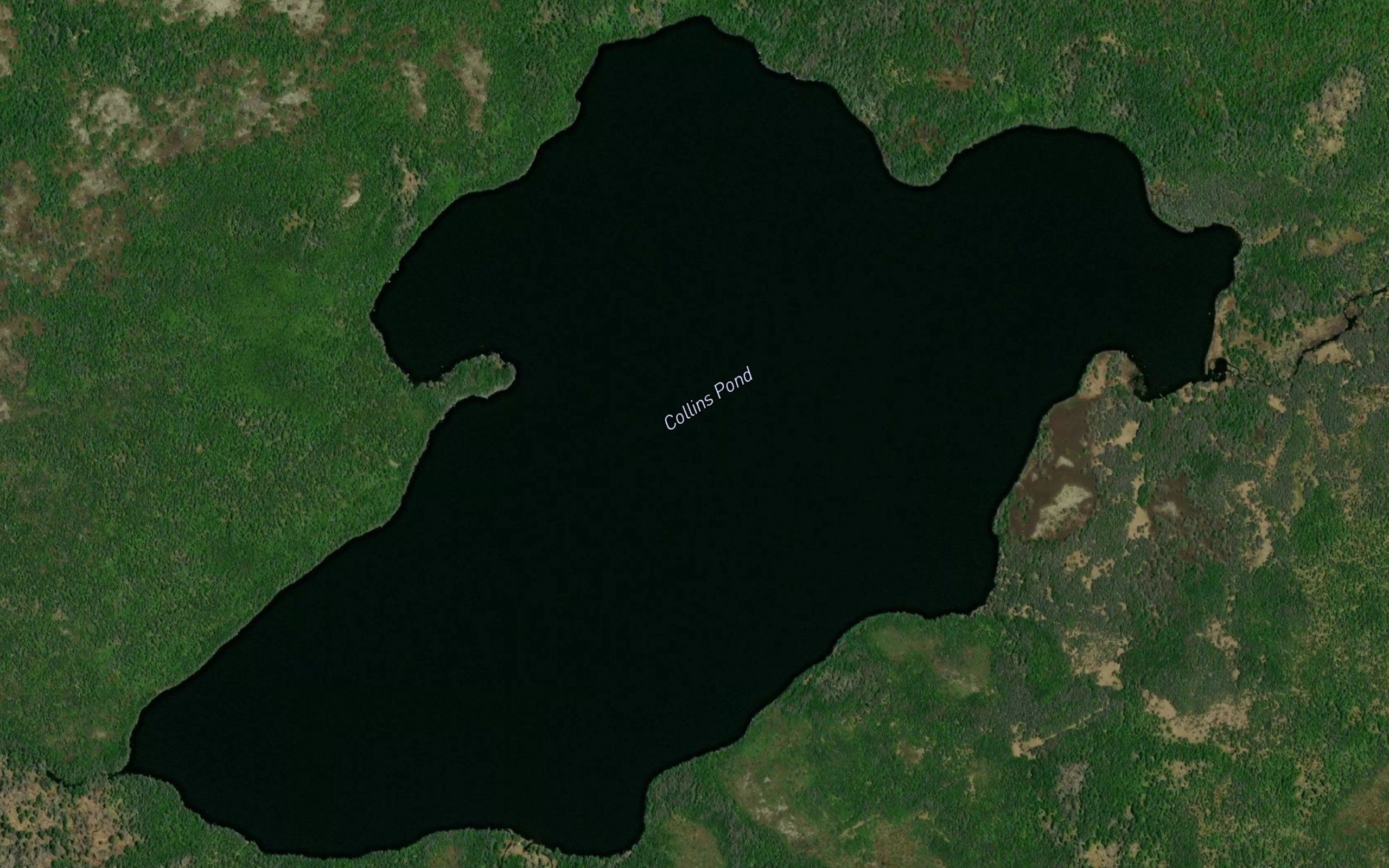 Collins Pond