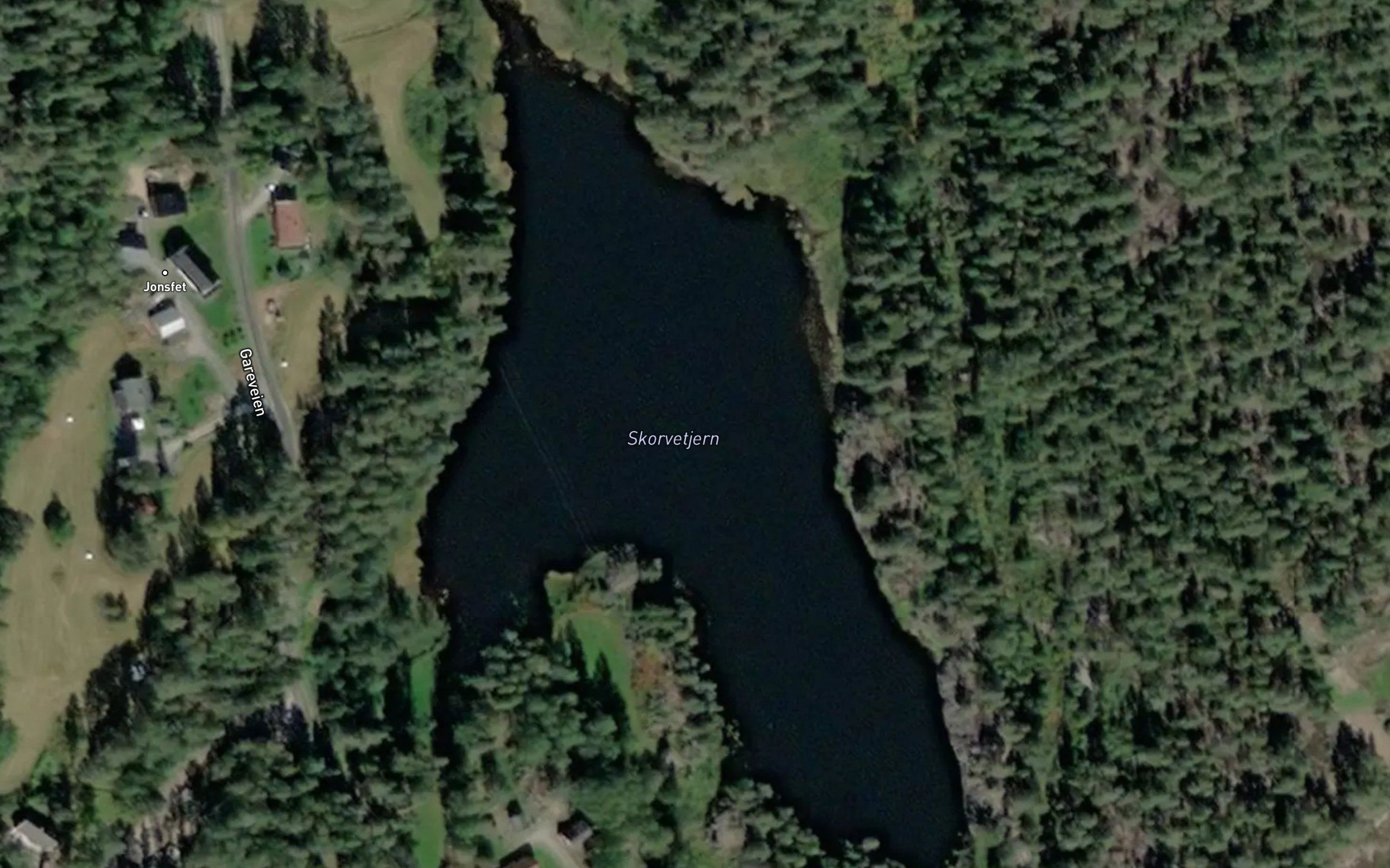 Skorvetjern