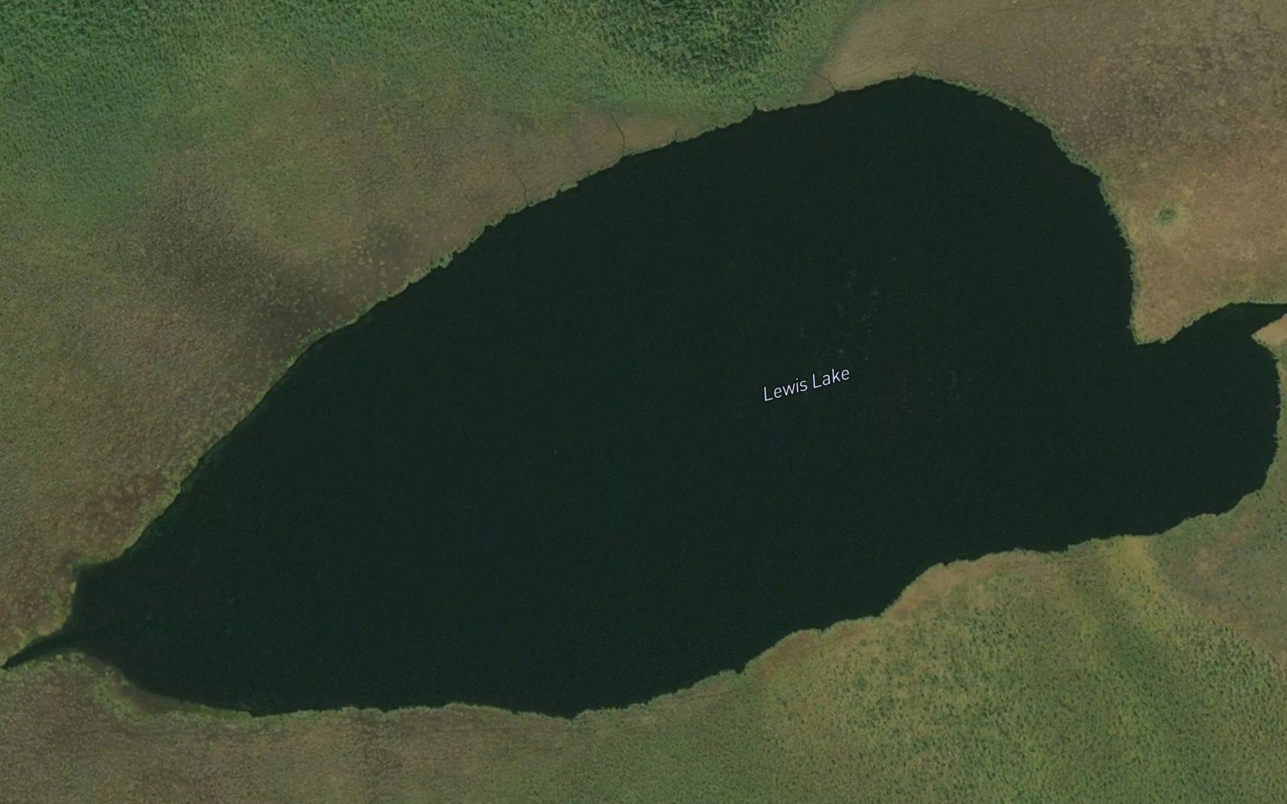 Lewis Lake