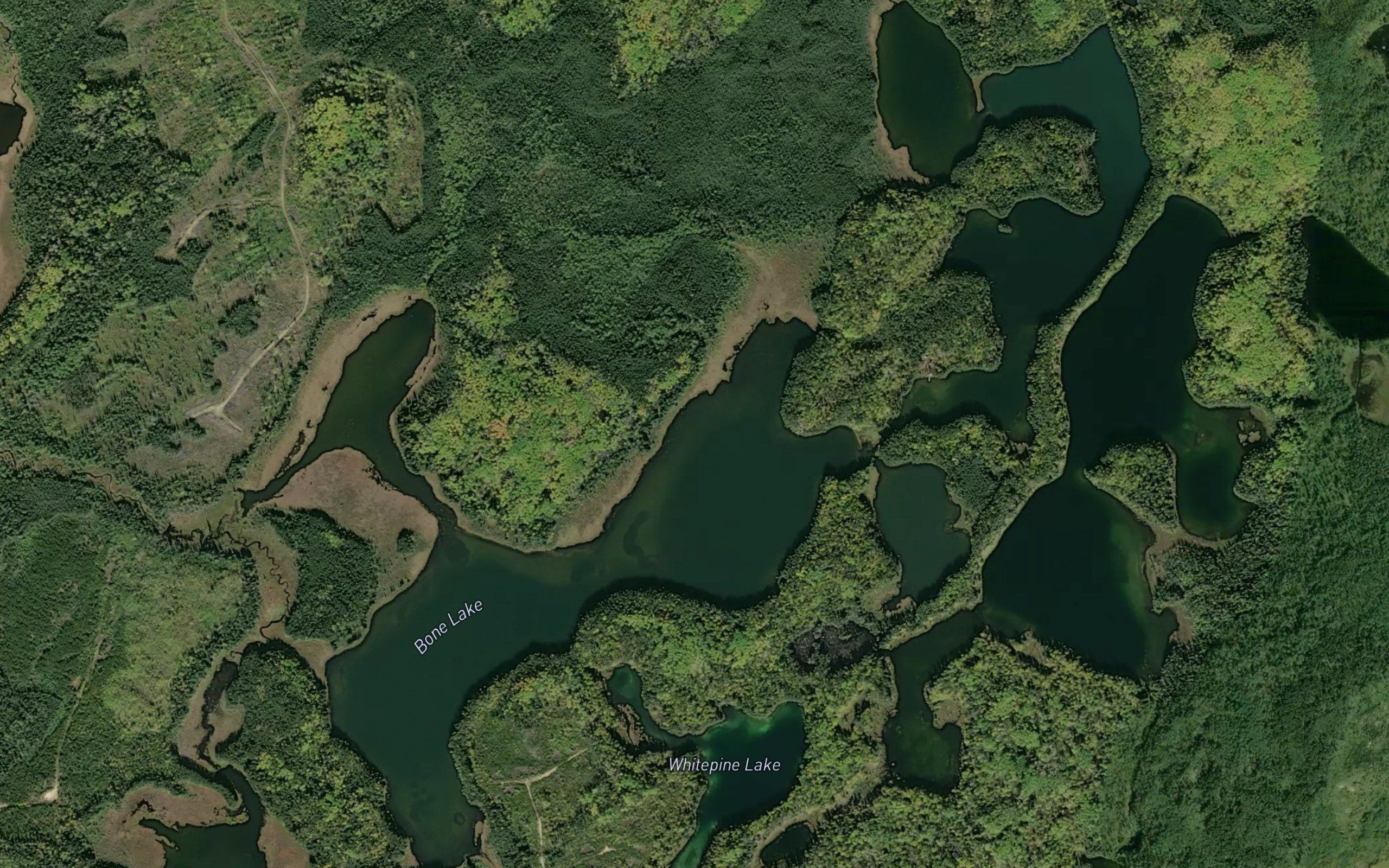 Bone Lake