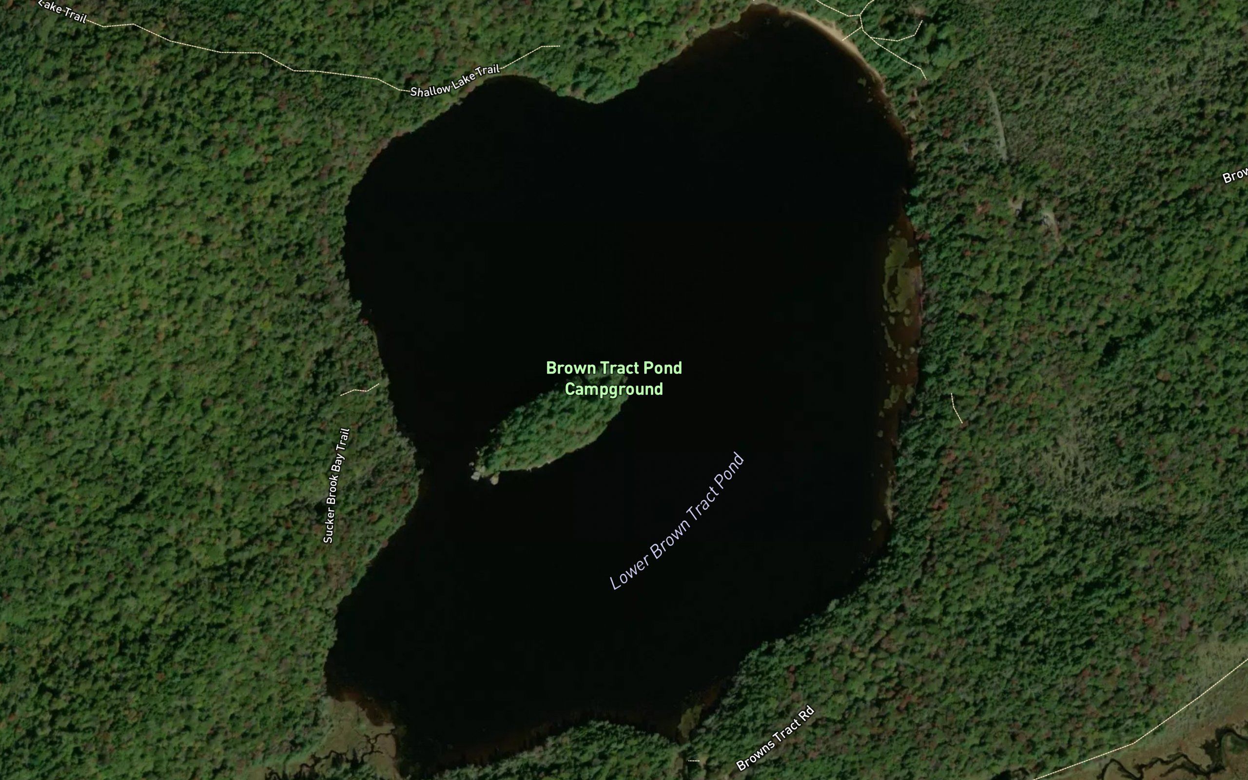 Lower Pond