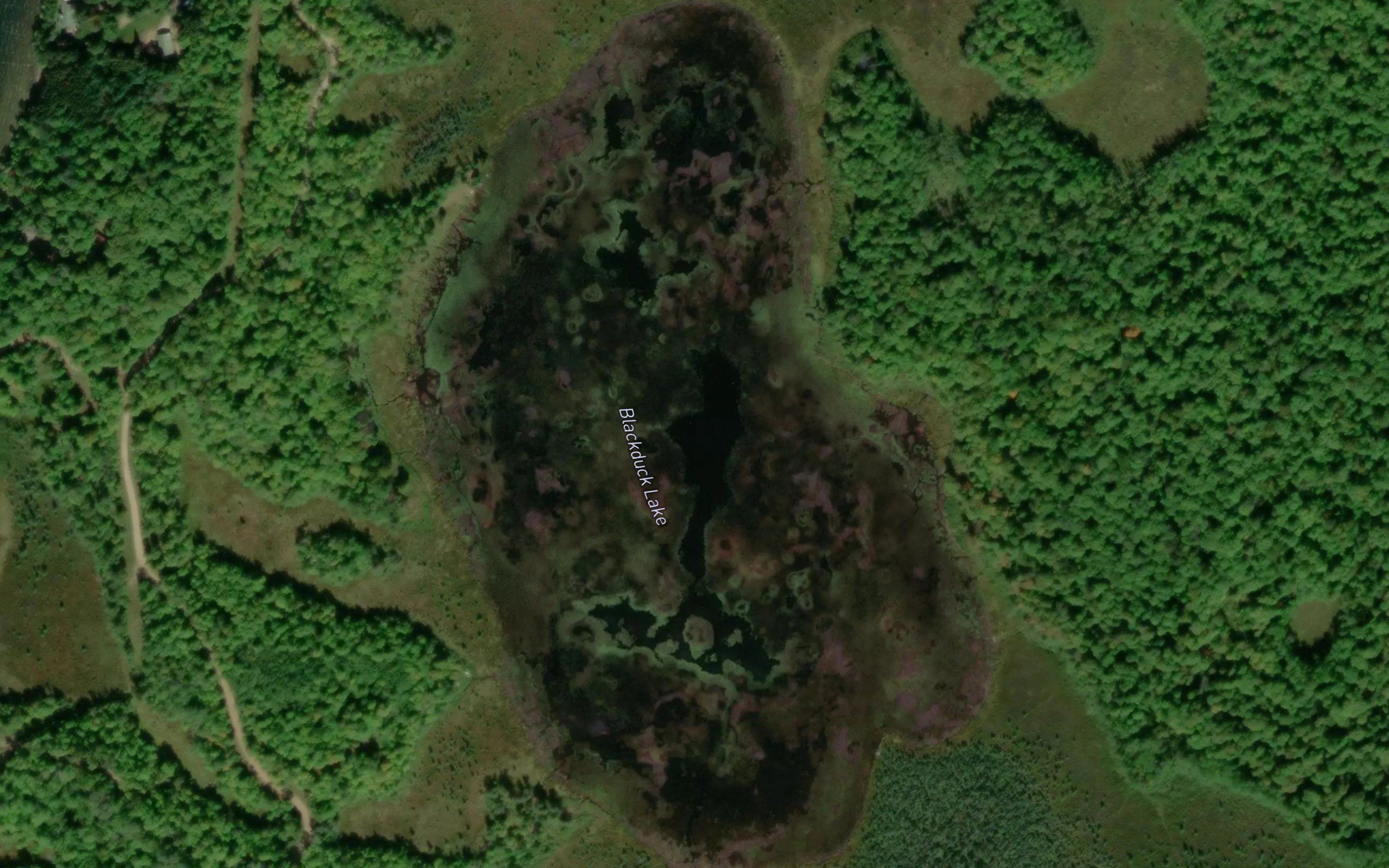 Blackduck Lake