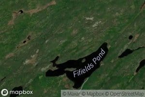 Fifields Pond