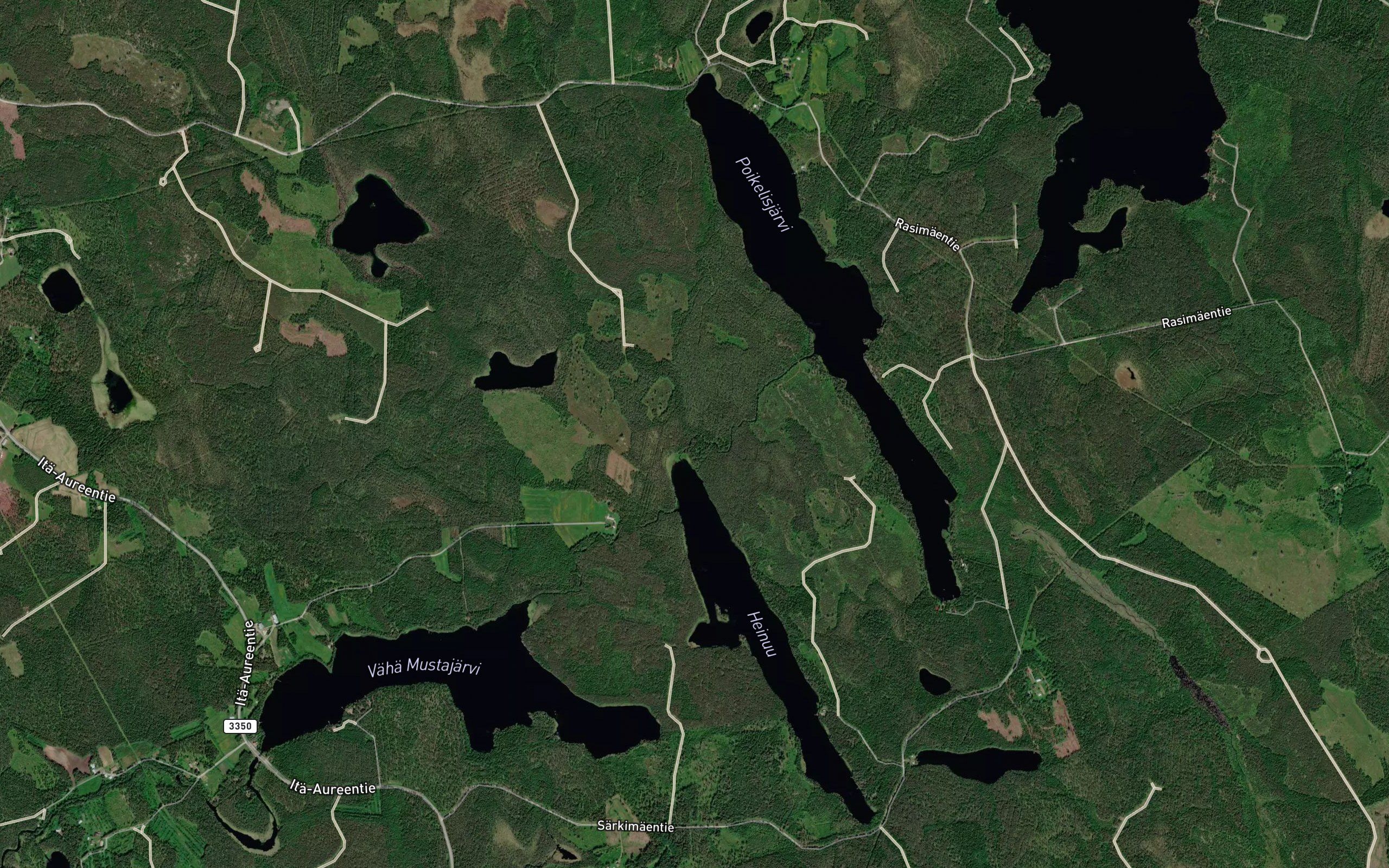 Neulalamminoja