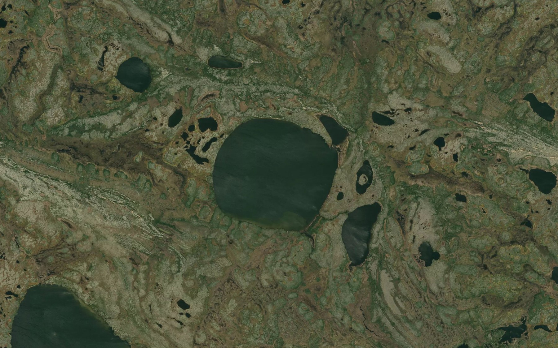 Satellite map of the Winipak Lake