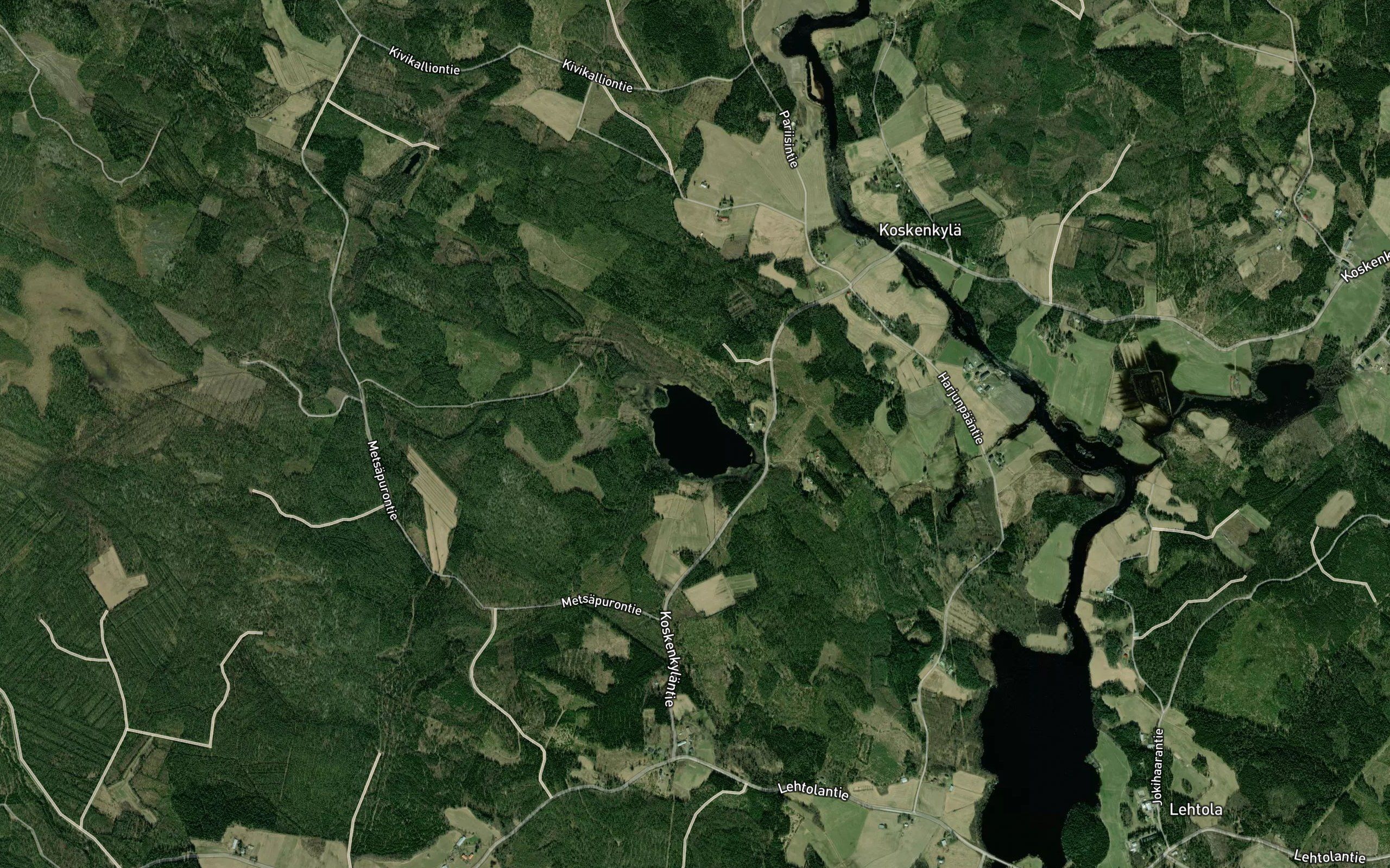 Lauttalampi