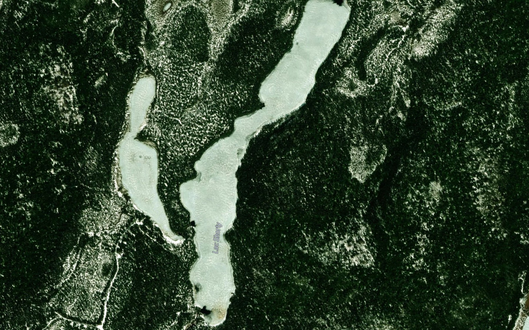 Satellite map of the Lac Shorty