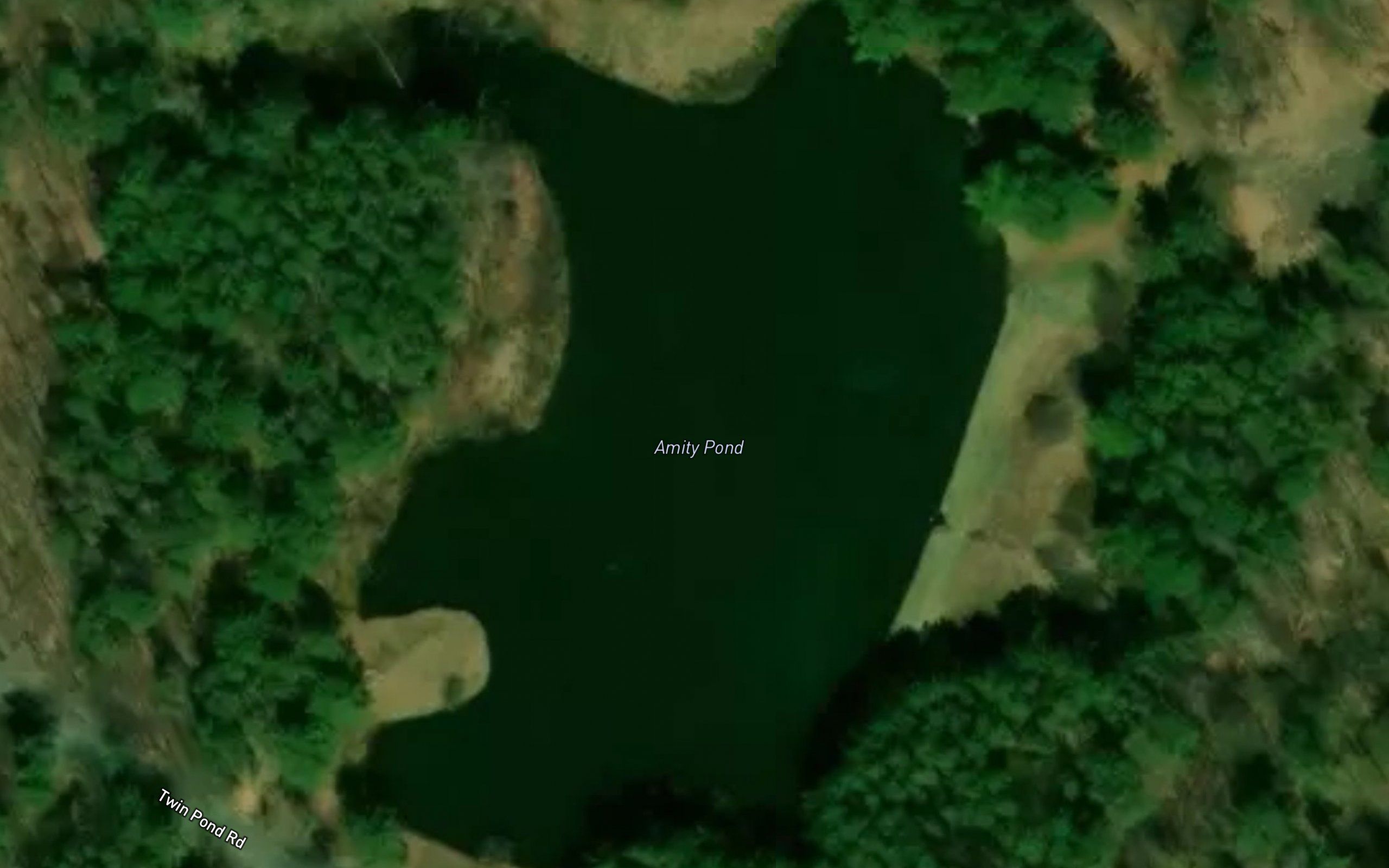 Amity Pond