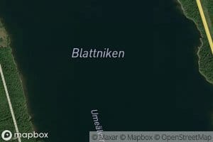 Blattnikselet