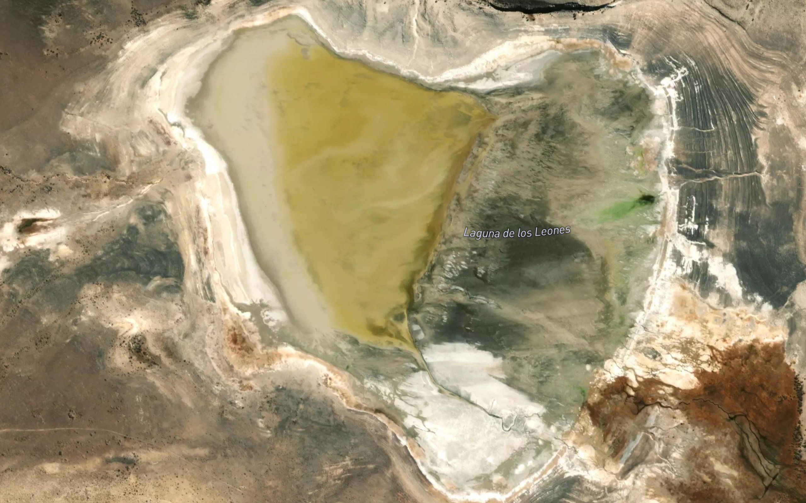 Laguna de los Leones