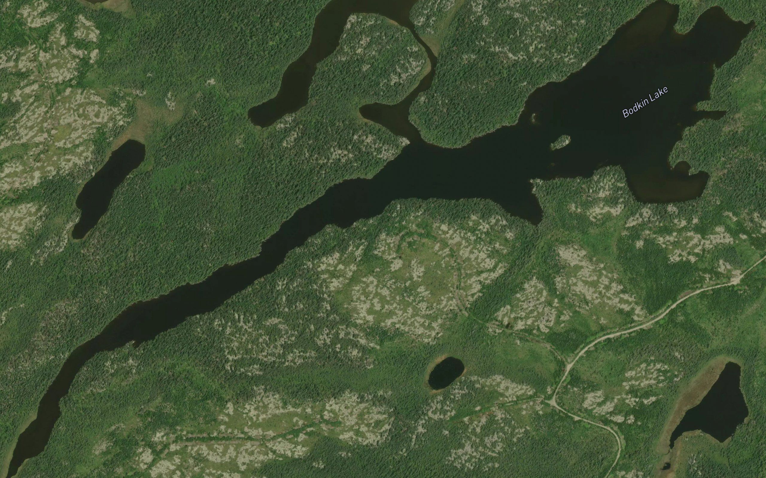 Bodkin Lake