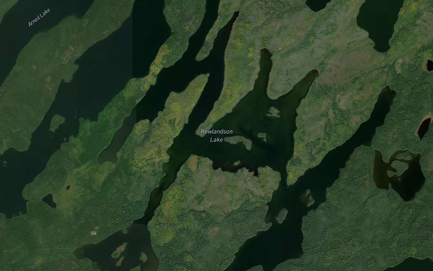 Satellite map of the Rowlandson Lake