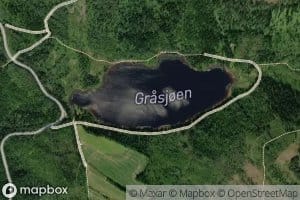 Grasjoen