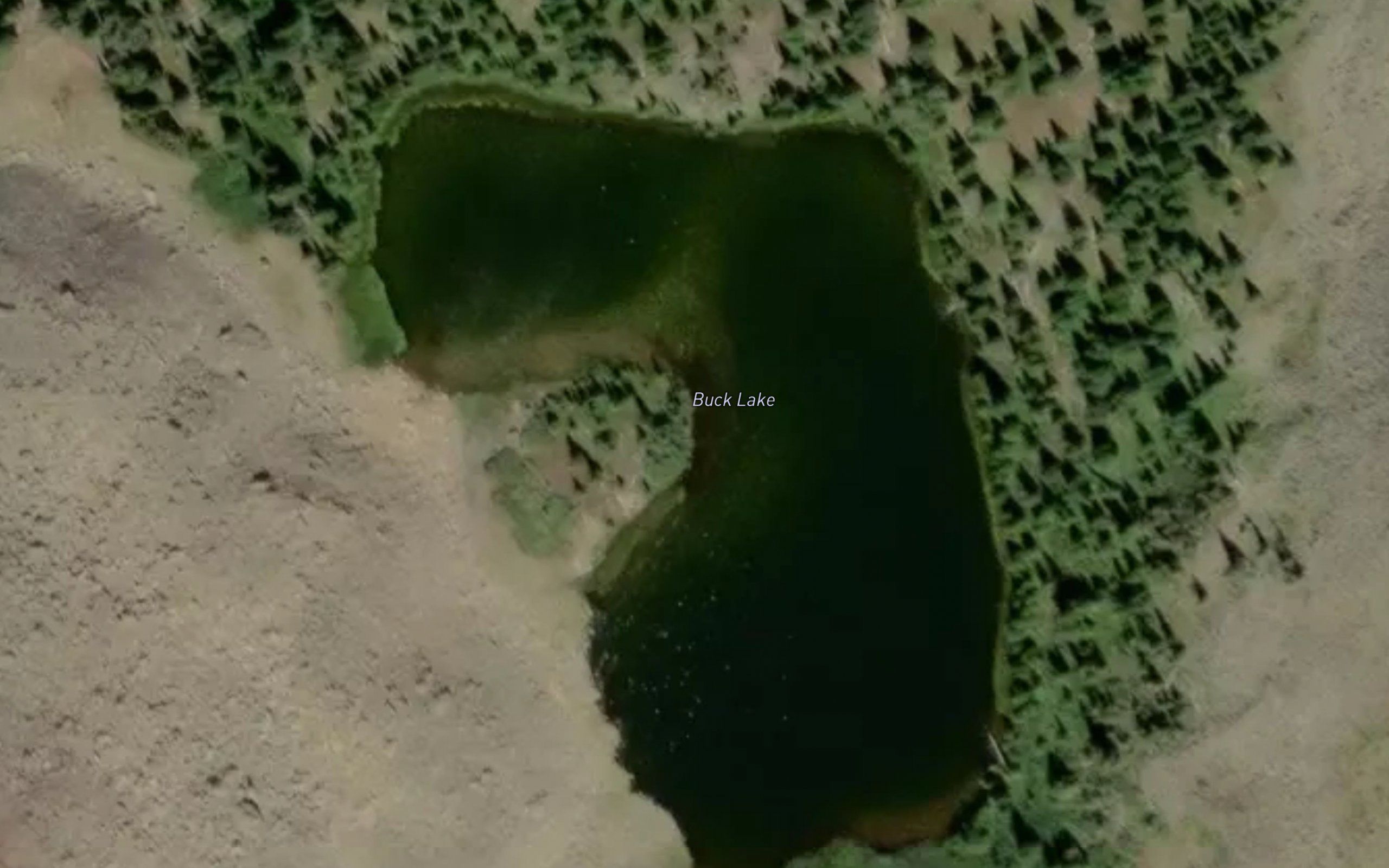 Buck Lake