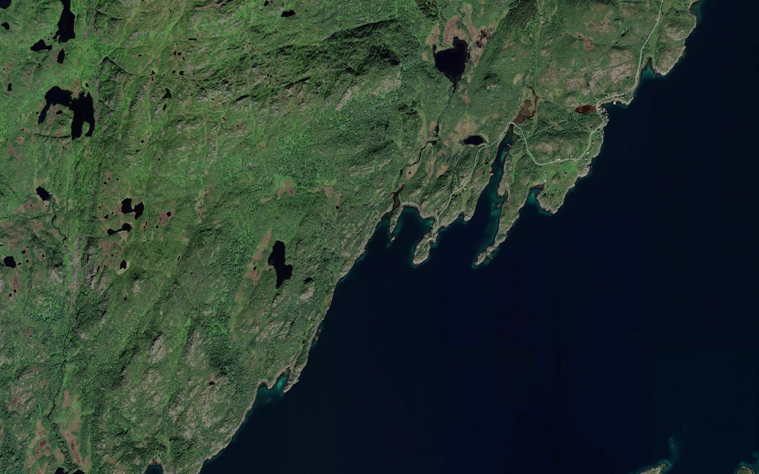 Kolvika