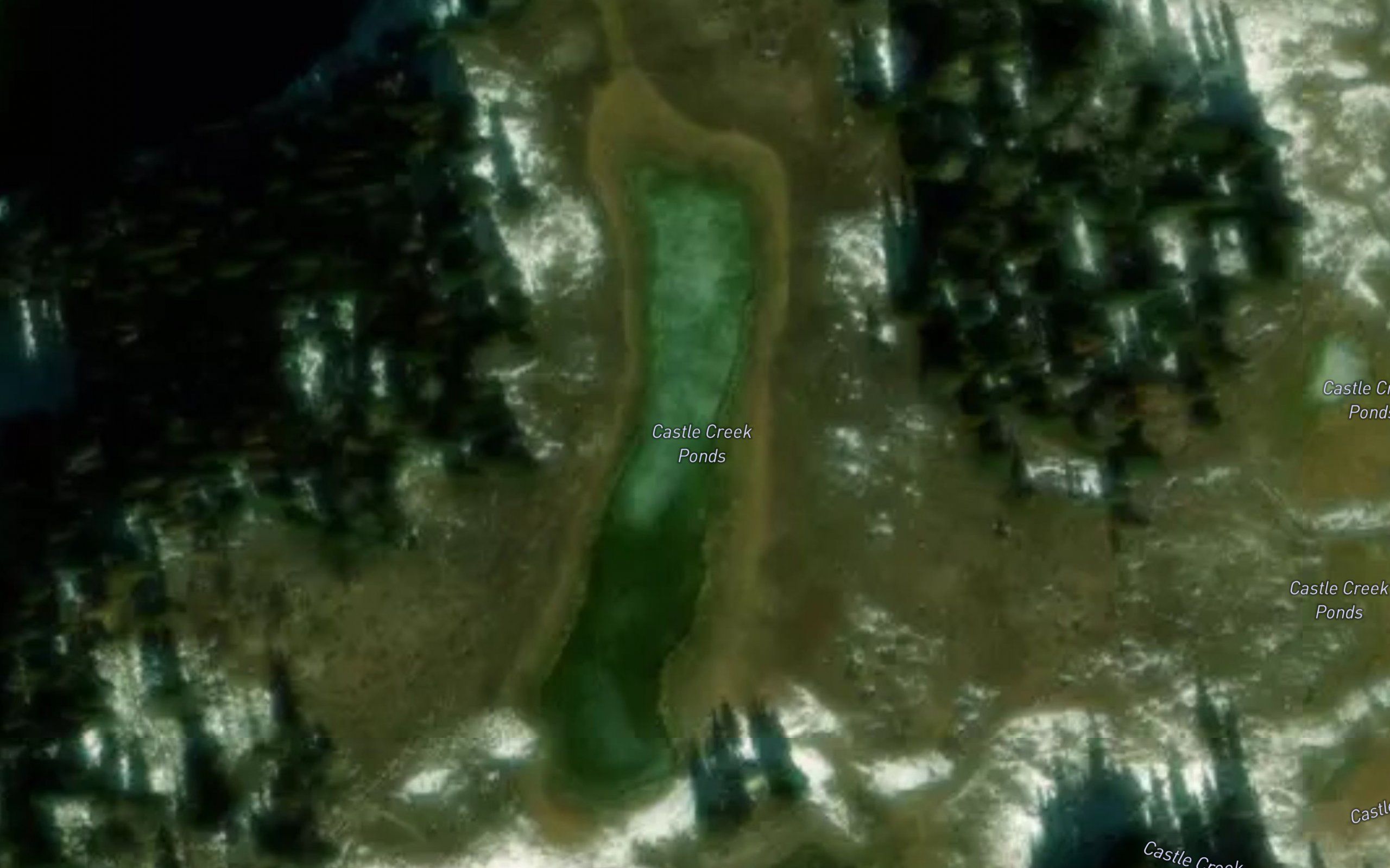 Castle Creek Ponds