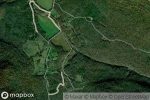 Stepp Creek