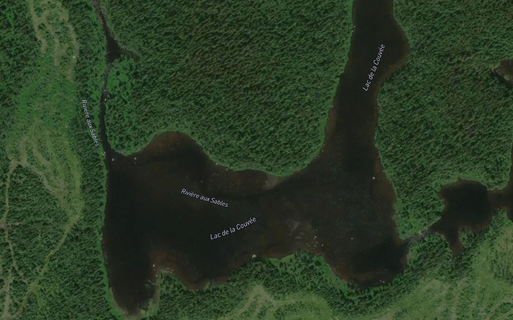 Satellite map of the Lac de la Couvee