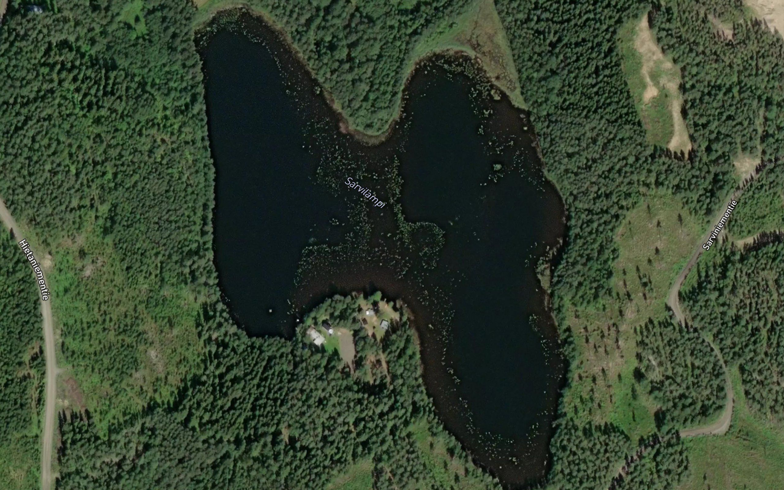 Sarvilampi
