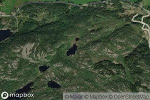 Lodasfjelltjonna