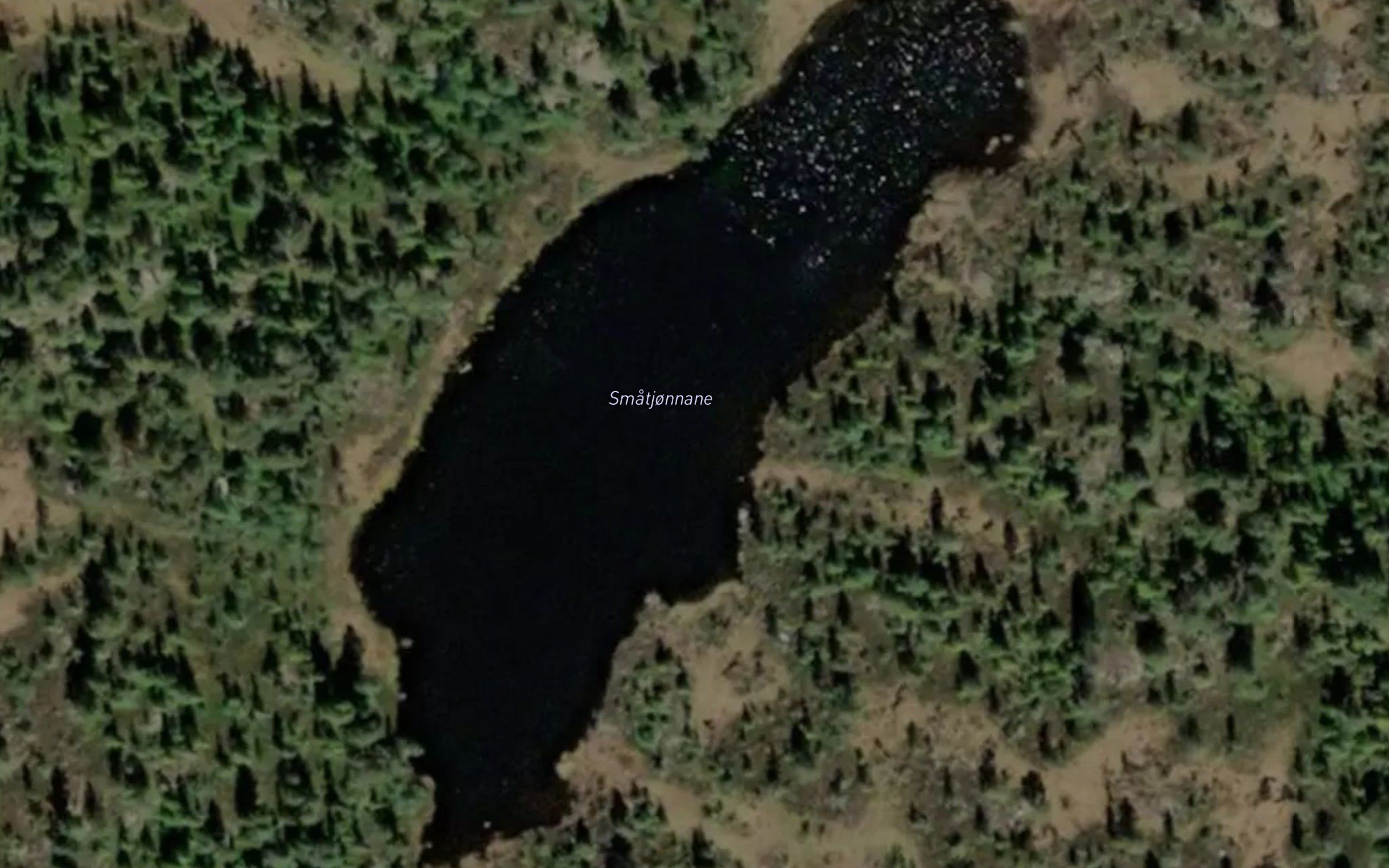 Smatjornane
