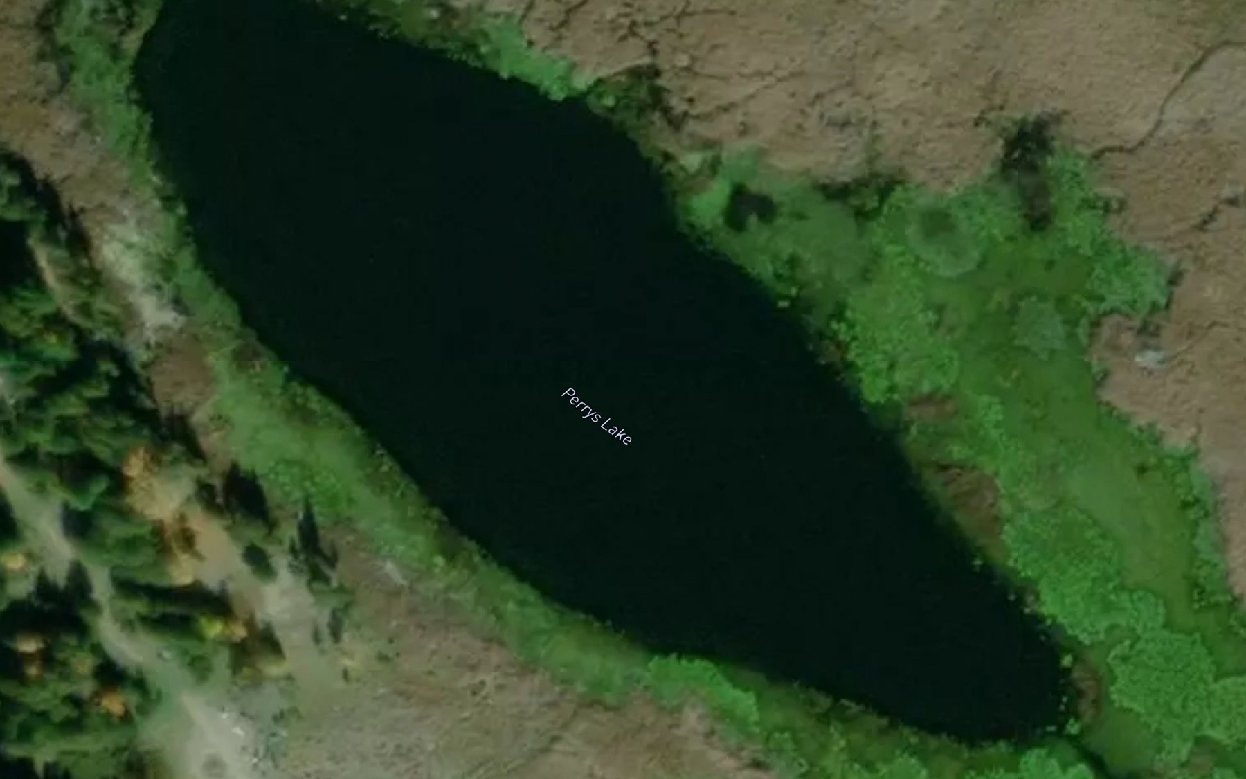 Satellite map of the Perrys Lake