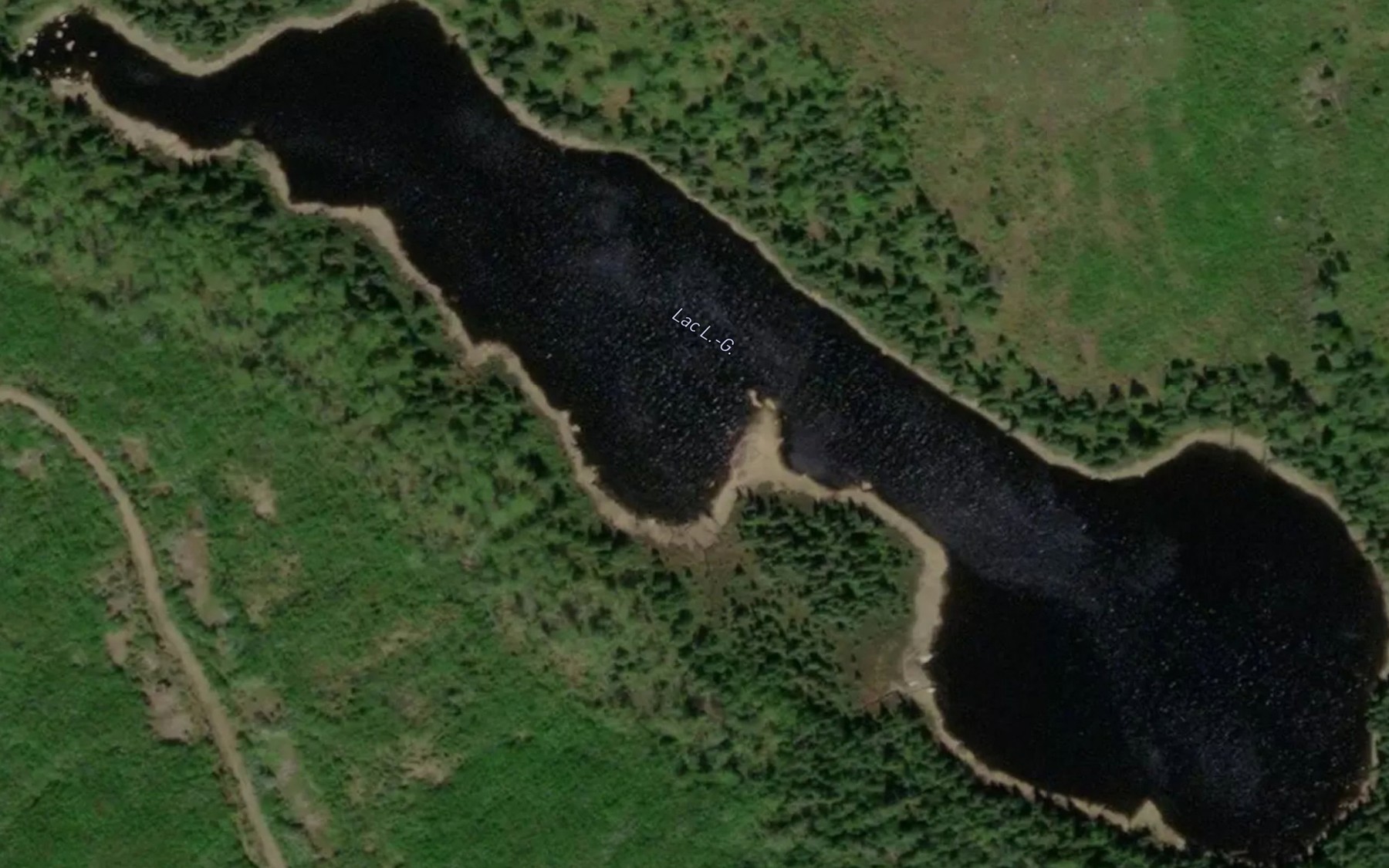 Satellite map of the Lac L.-G.