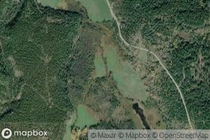 Fredy Creek