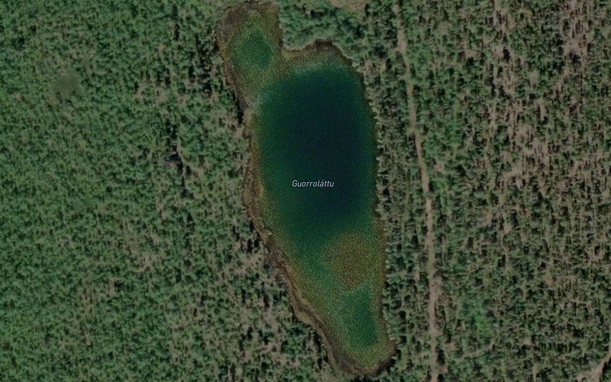 Guorrolattu