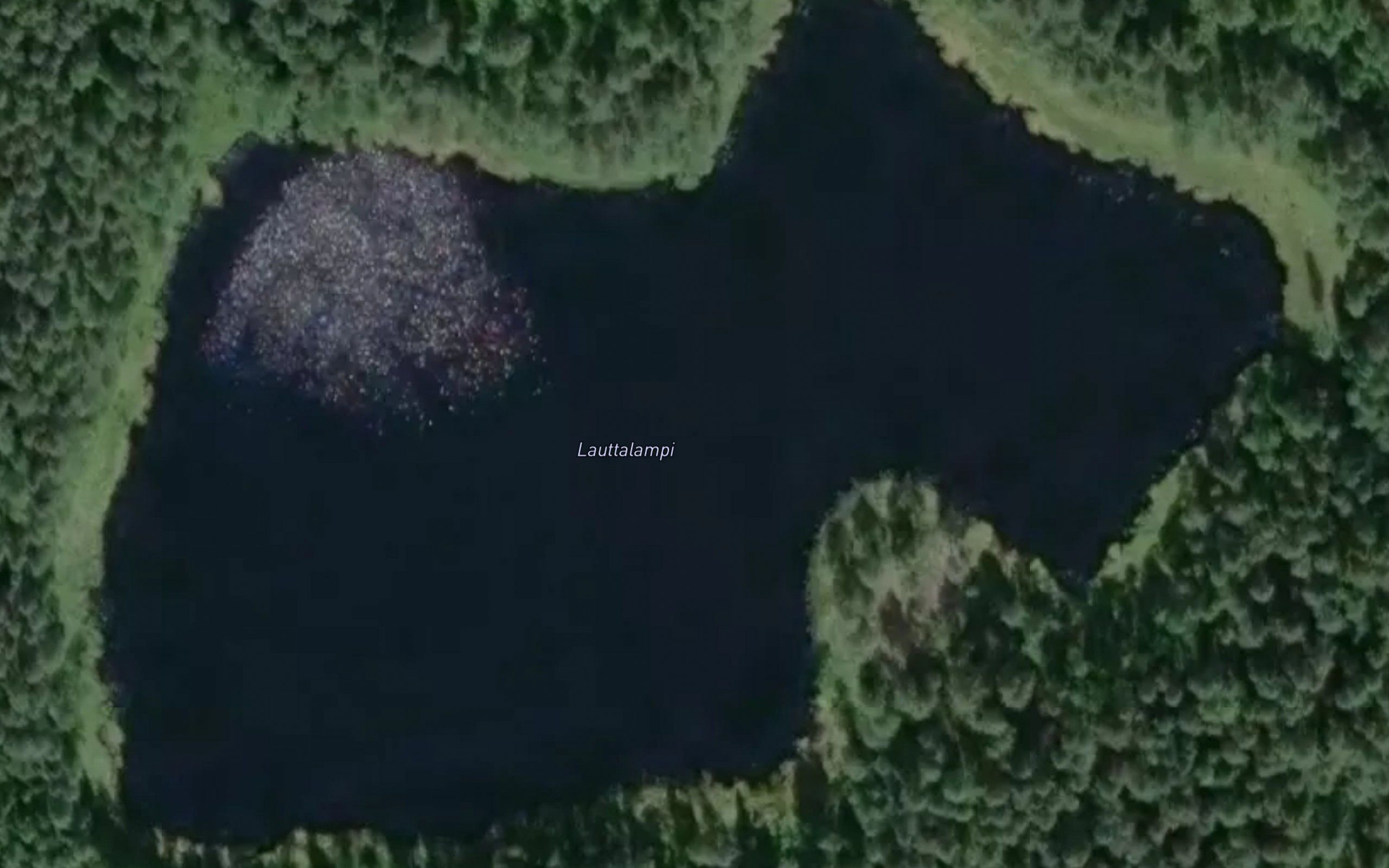 Lauttalampi