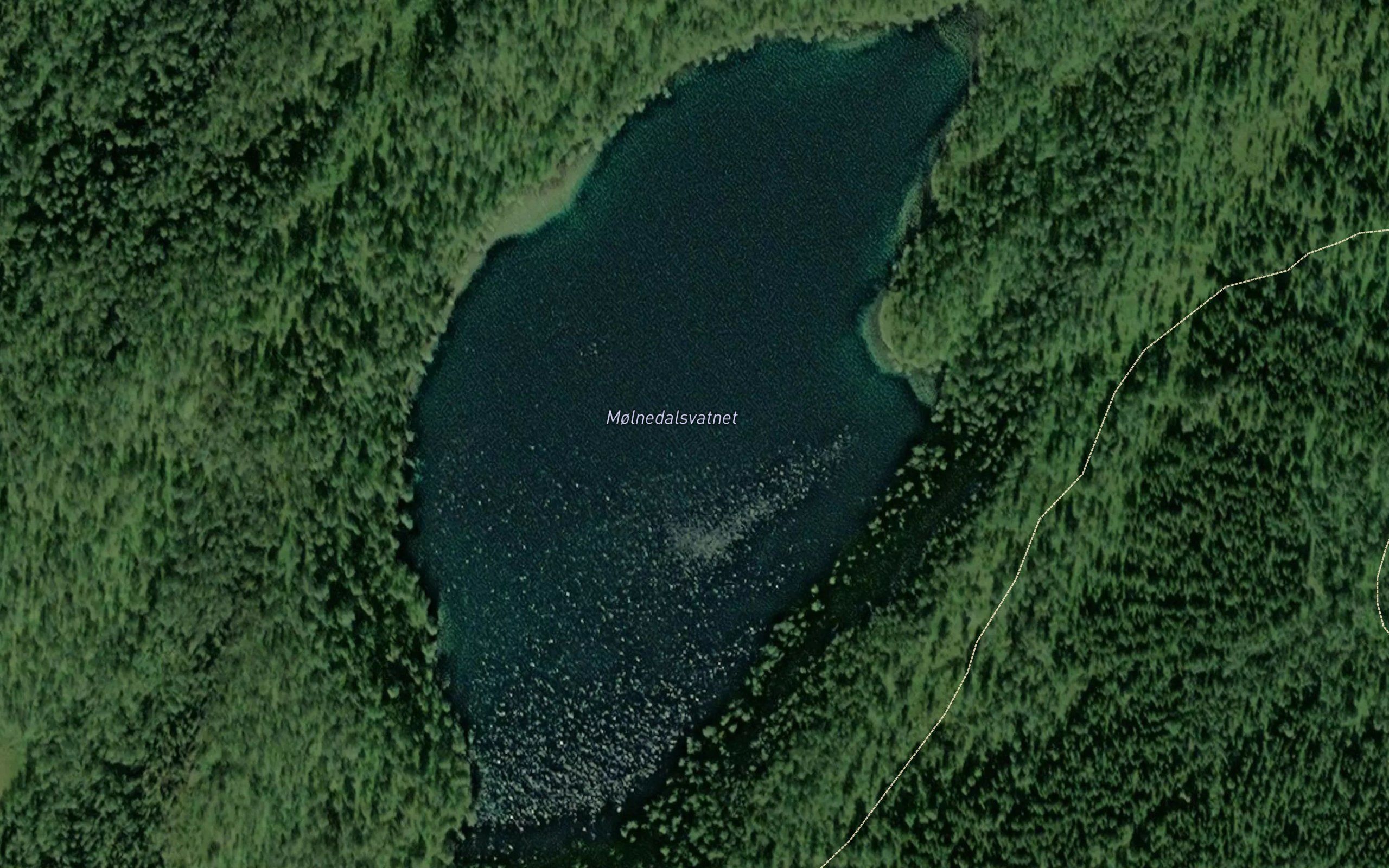 Molnedalsvatnet