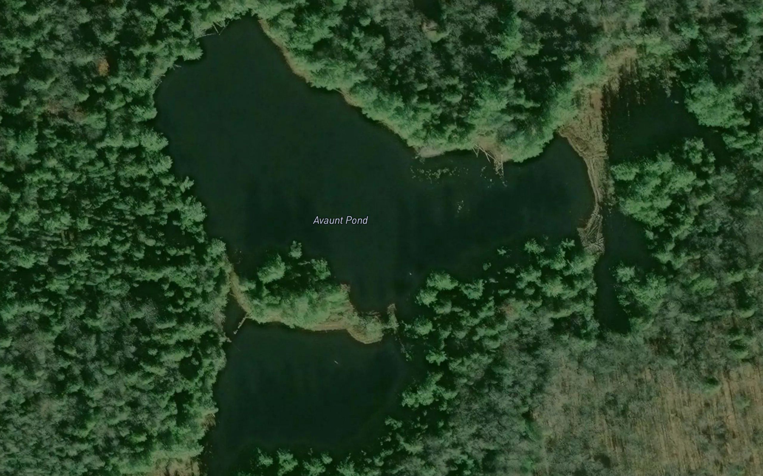 Avaunt Pond