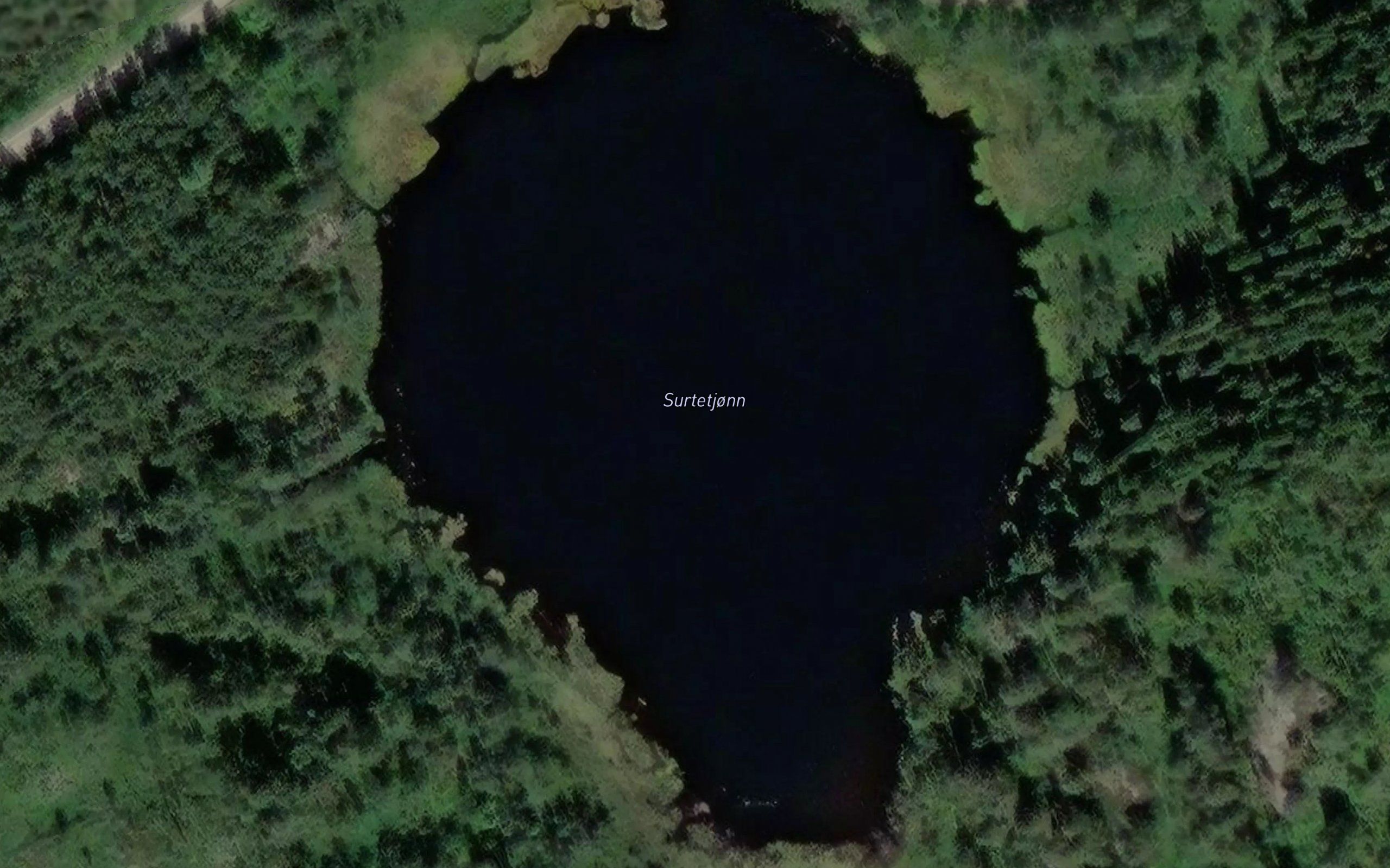 Surtetjonn