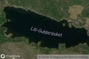 Lill-Gubbtraesket
