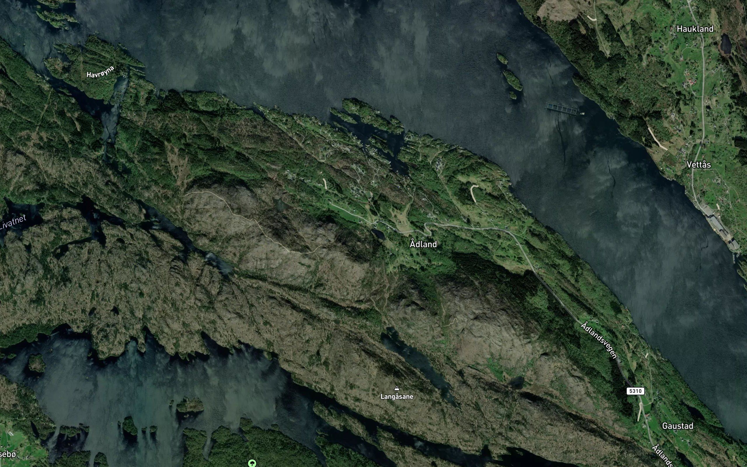 Adlandstjorni