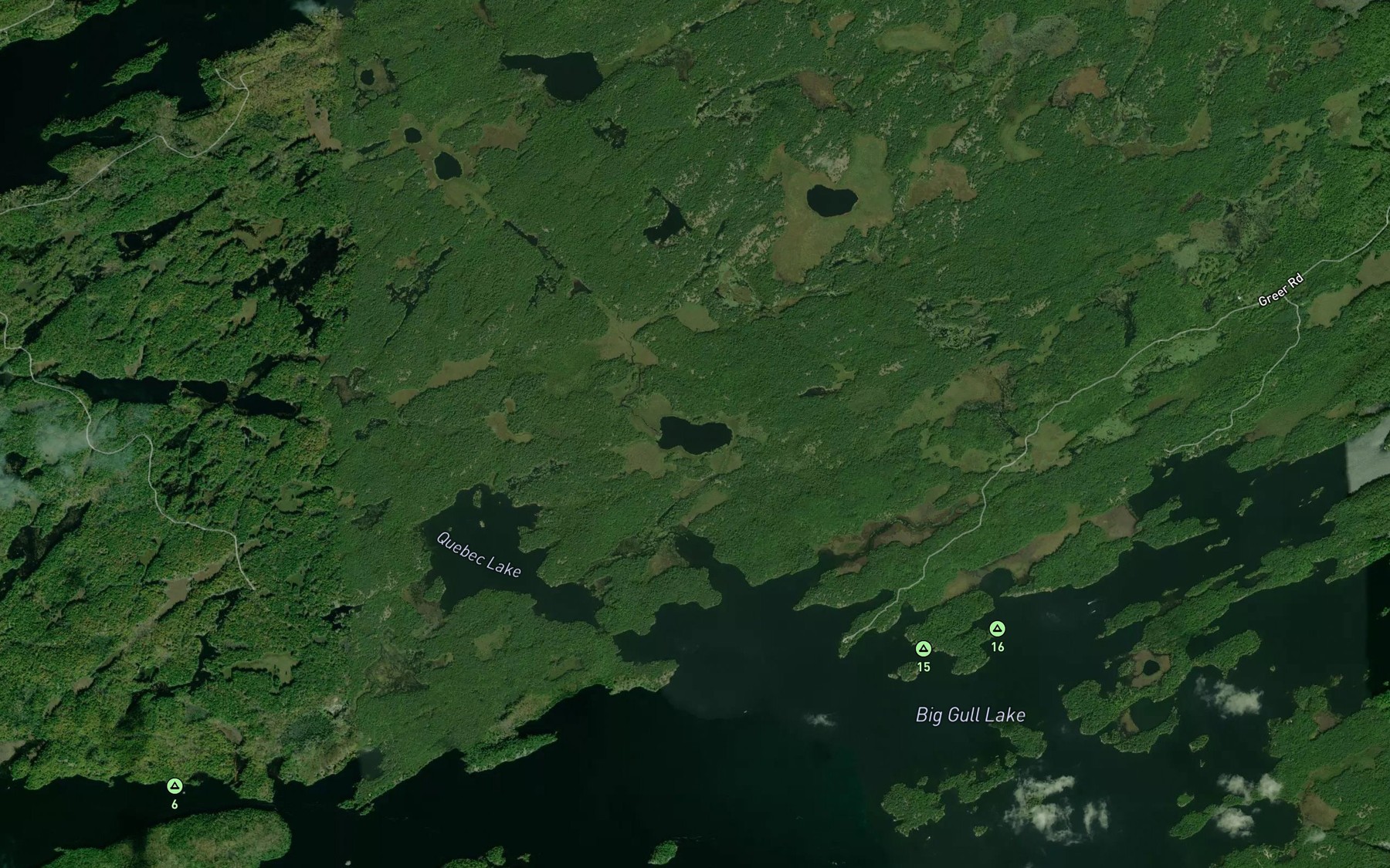 Satellite map of the Deer Lake