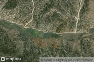 Lower Spring