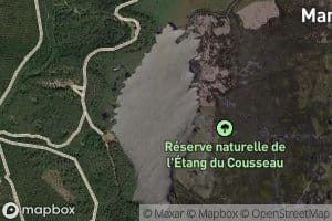 Etang de Cousseau