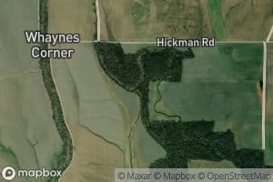 Whayne Branch