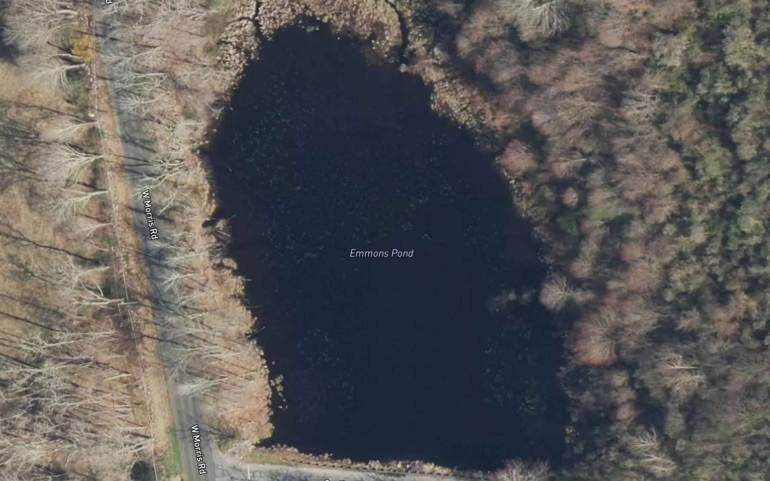 Emmons Pond