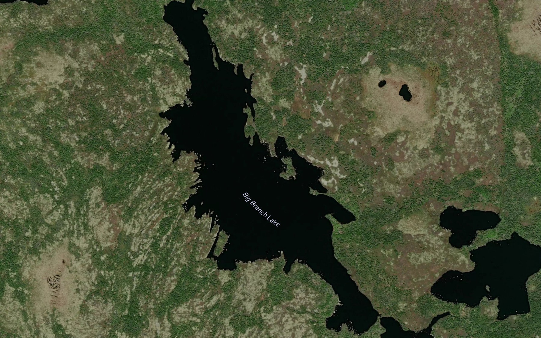 Satellite map of the Big Branch Lake