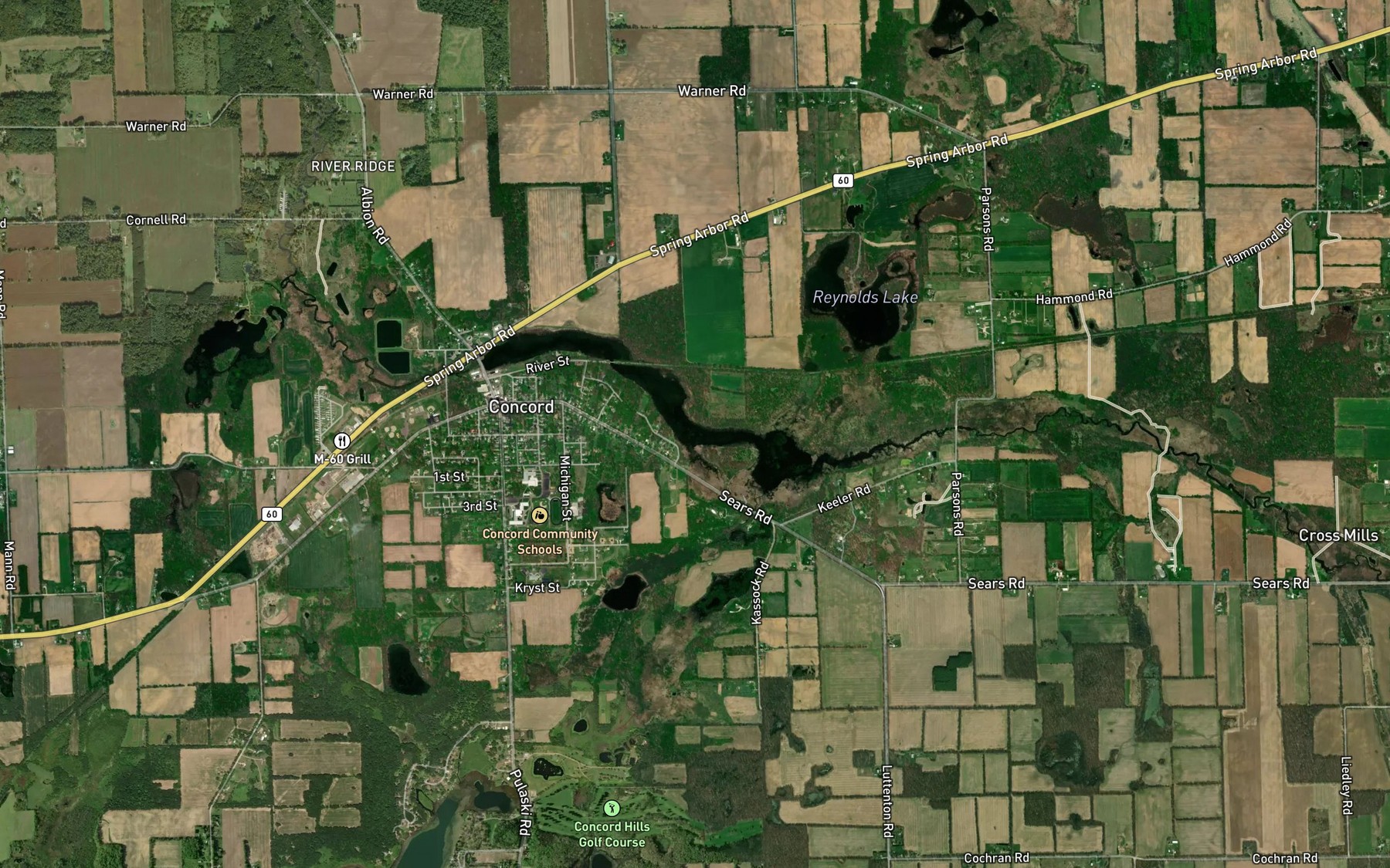 Satellite map of the Mill Pond