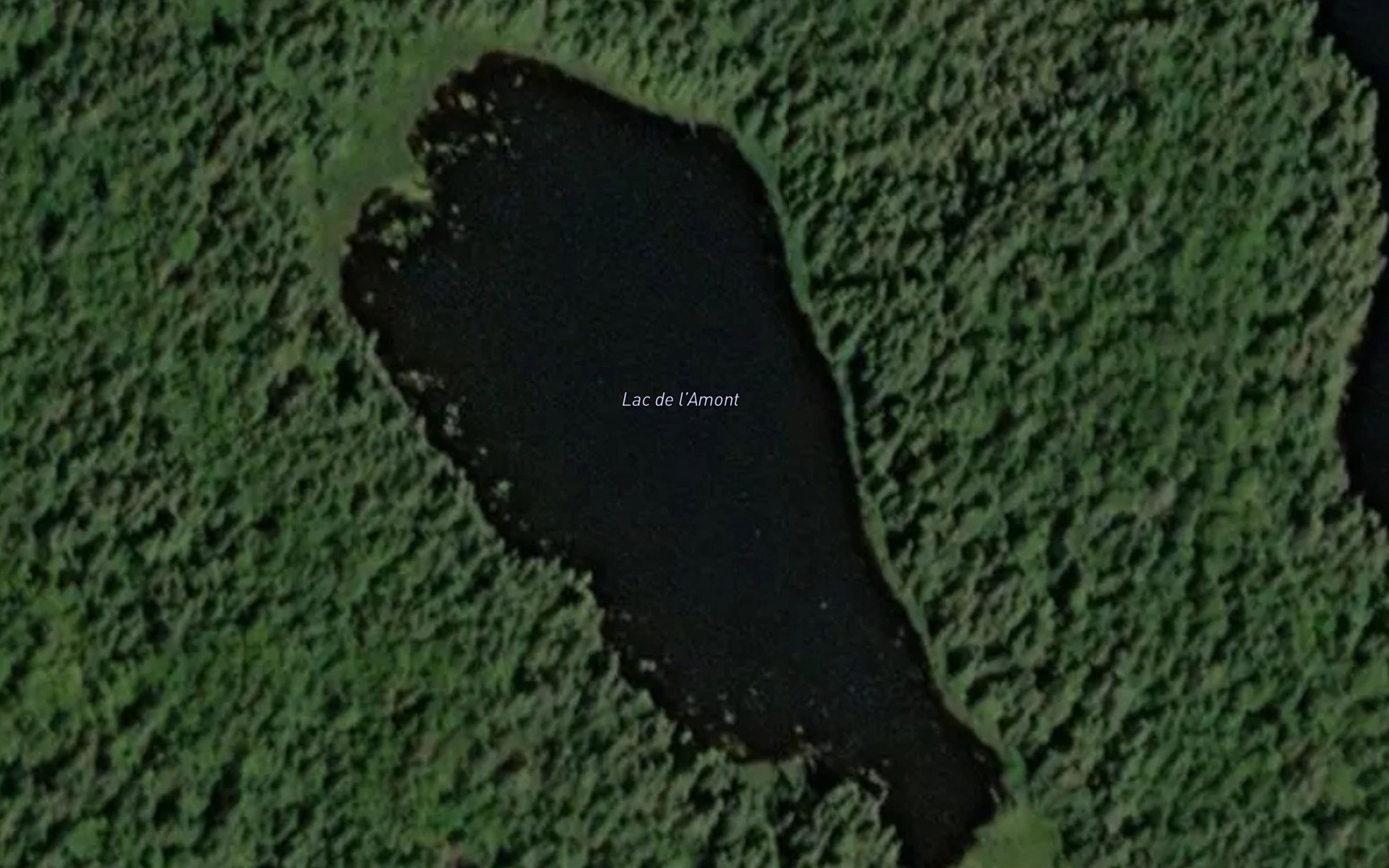 Lac de l'Amont